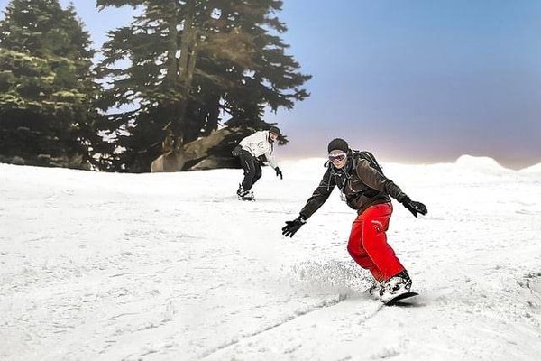 Quels sont les sports de glisse les plus pratiqués en France ?