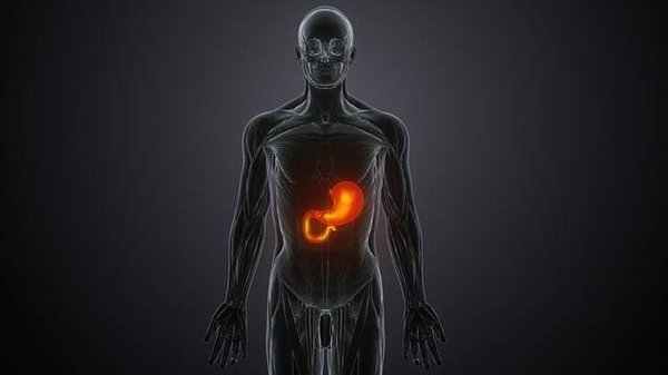 Comprendre la NASH : Symptômes et implications de la maladie du foie non alcoolique